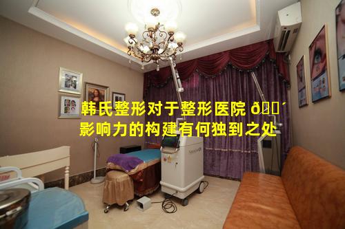 韩氏整形对于整形医院 🐴 影响力的构建有何独到之处